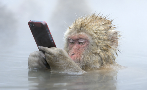 СМС поздравления с Новым 2016 годом Обезьяны