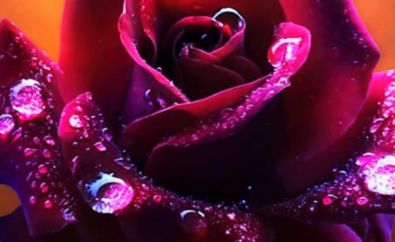 Открытки с днем рождения женщине