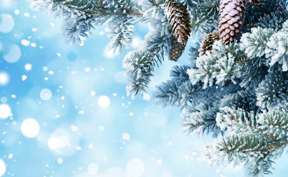 Самые красивые виртуальные открытки с Новым годом 2018