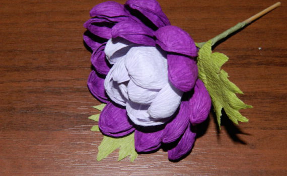 Астра из гофрированной бумаги и конфет своими руками