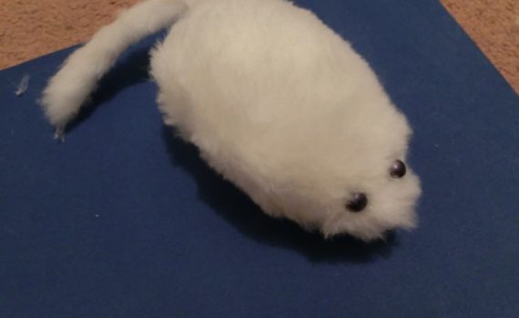Мышка для кошки своими руками